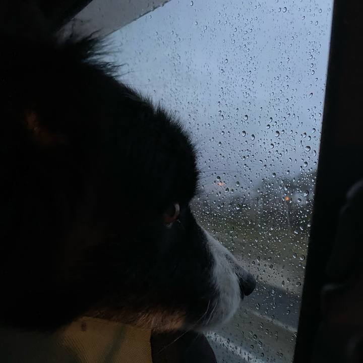 A48ebade 3877 4770 aeea a418a8303f4c 1611353688389