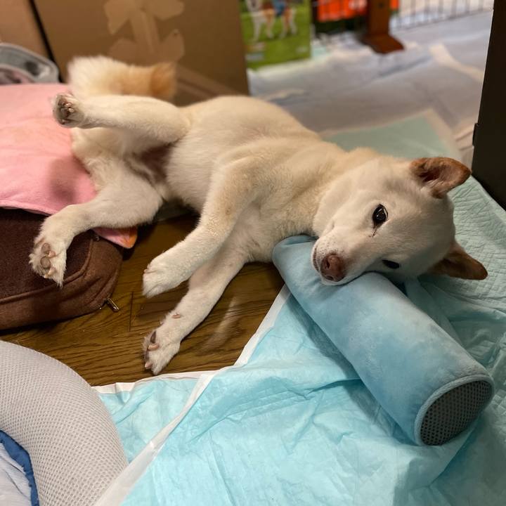 A48ebdf1 0c19 40f3 a466 336f2d30936c 1647254338995