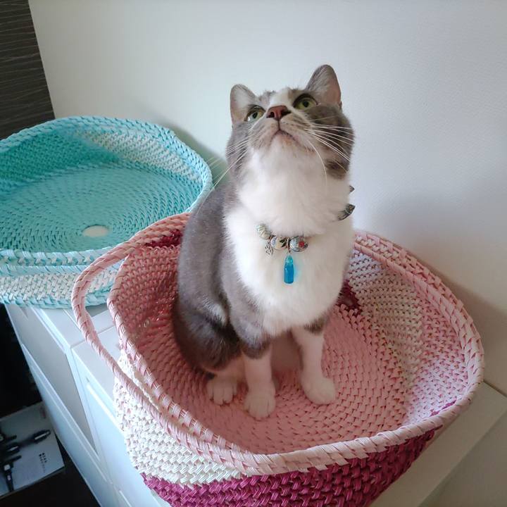 A48ec7f8 d820 4de3 92e3 e27565356f60 1692658380548