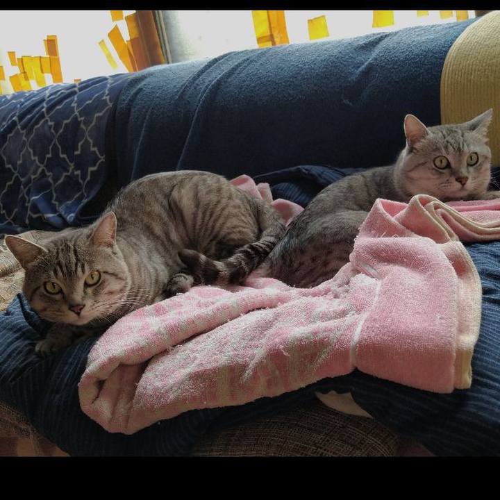 A48f13c5 9d76 4732 8556 0d04433f50e9 1625553979831