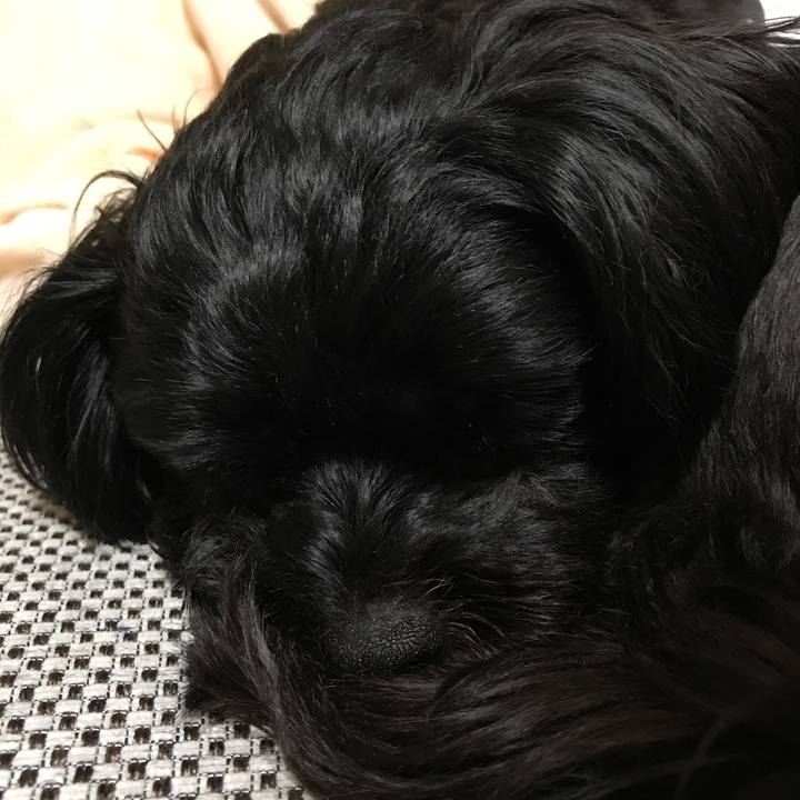 A48f384f ef07 4137 9527 ac42db76e29e 1524322228391