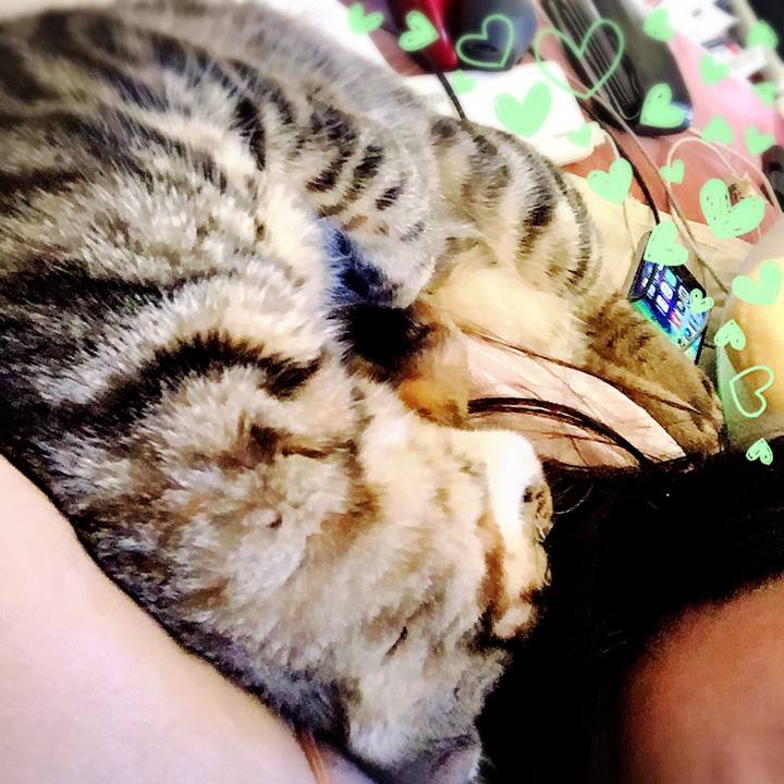 A48f682b babb 461f 8898 3f70ea689b30 1541306982338