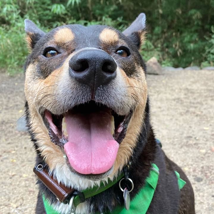 A48fa4c5 dd67 4001 ac51 50b1b4fc3fa5 1599791178134