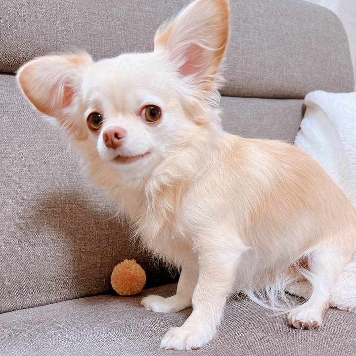 A48fccb2 9ce8 4358 ad73 771579557abe 1669637336469