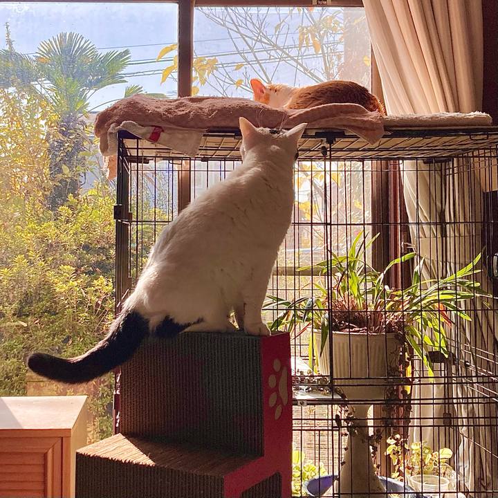 A48fd9e9 e7a3 4bb9 b8ea 14f147dae1ef 1668138672922