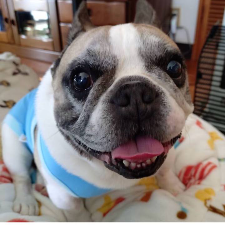 A48fe621 70a4 4bf5 9fb6 d3f6691b5d29 1769676066619