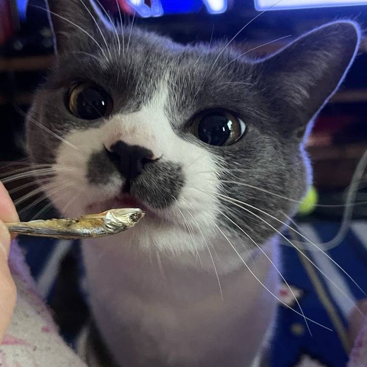 A4900f7f 32f0 42cc be78 69d046323f5a 1652426192903