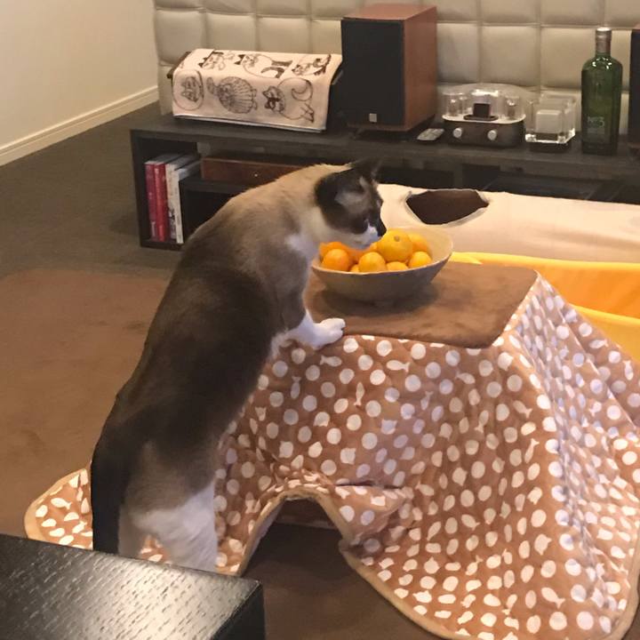 A4901ffd e819 4892 8d15 eedc44213b40 1573633316202