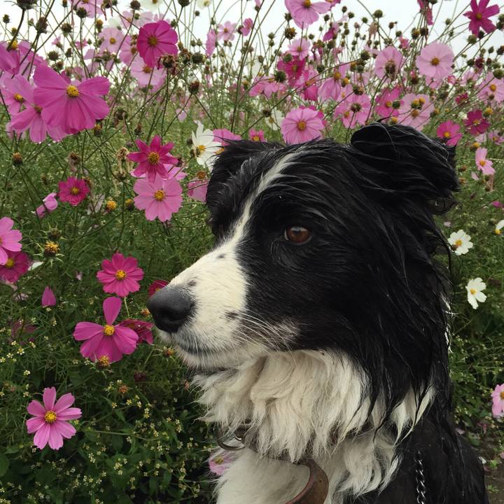 A4907895 fc1f 409a b46c be748a76b3cb 1542003674876