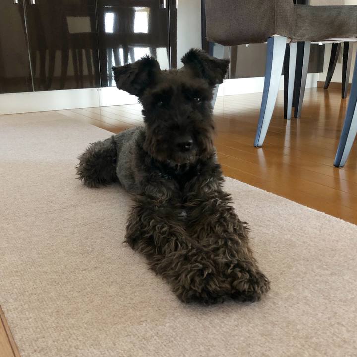 A4908a97 2ecf 422c ba52 fd98ac74f3f5 1715136762822