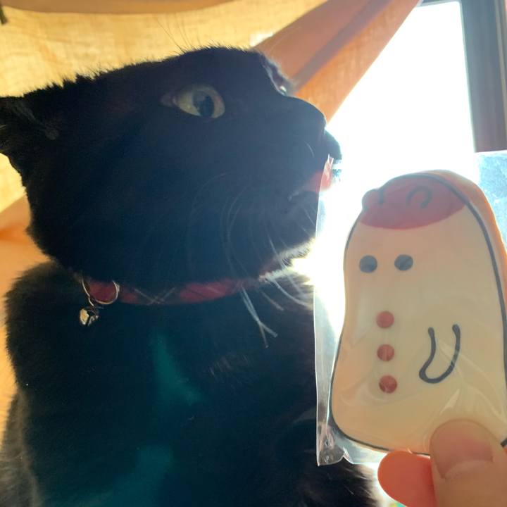 A490a26e 9c1a 47ae 972d 17384f05c33d 1580705931186