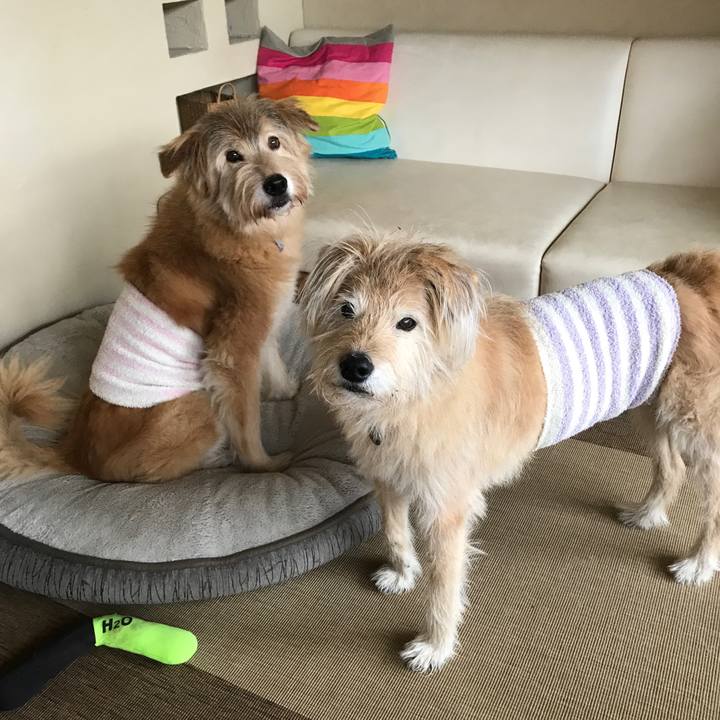 A4915950 a2c4 4d38 acf0 b399fd20d46c 1606890960709