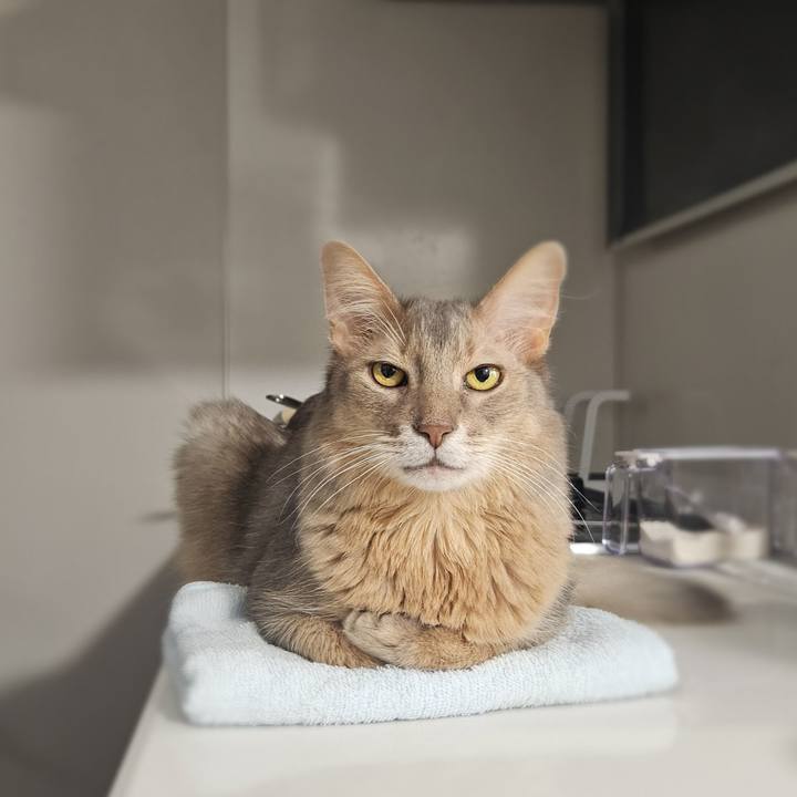 A4916589 bfe6 4af2 ba99 1ee3cb643e48 1757744945098