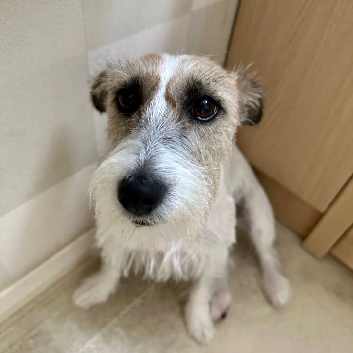 A4916bb1 3726 46ef 8c12 17d52d83206a 1692746384267