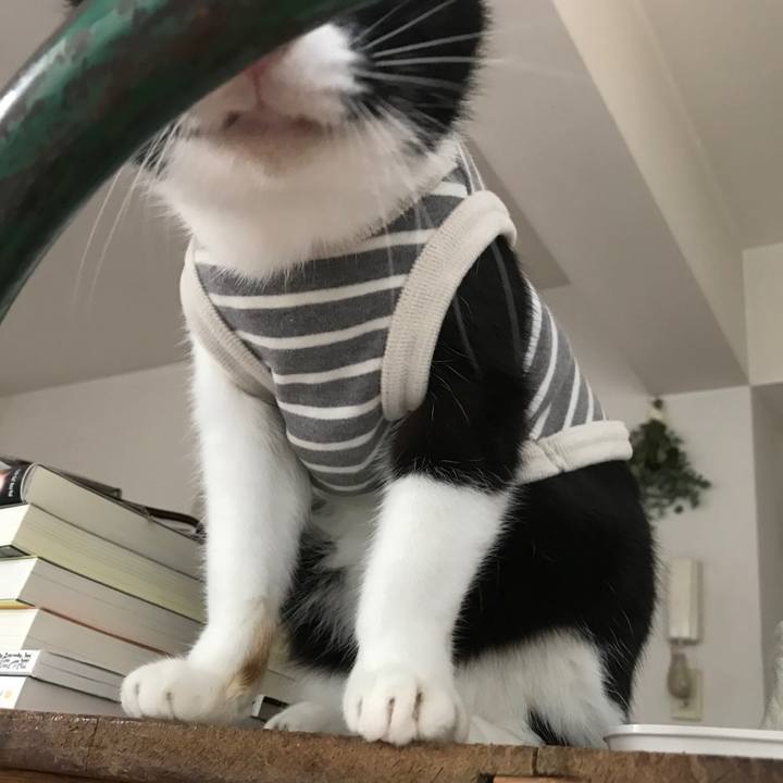 A4918688 2fca 488c 9001 072f38e1d5bc 1514109752142