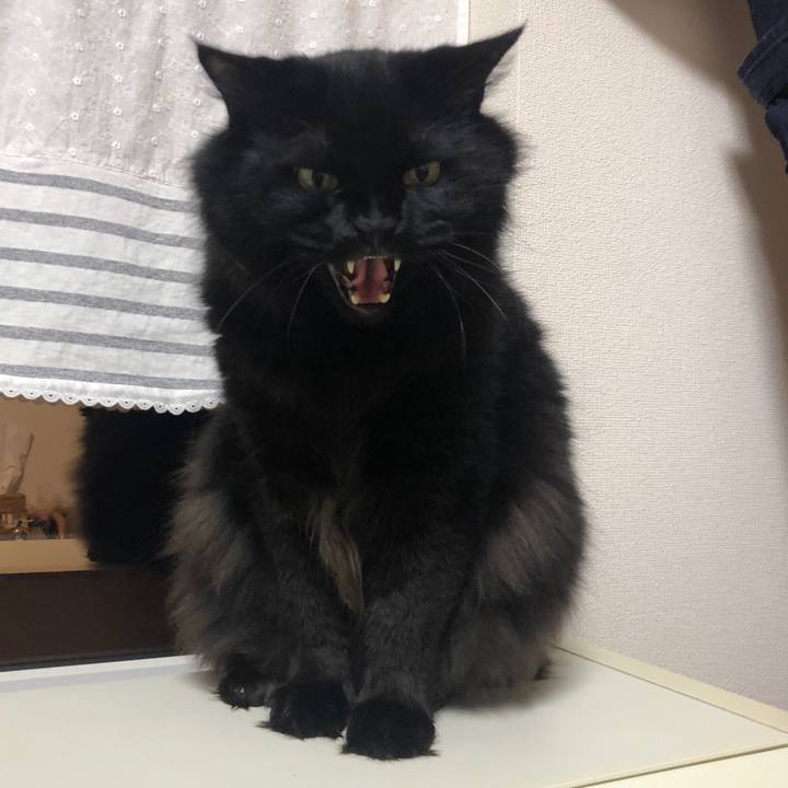 A491a2d4 c8c4 49f7 993d 491830098da6 1541282087630