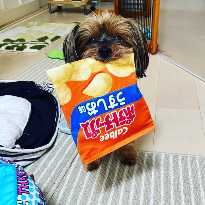 A491b642 c606 4974 b4ee 4390bcee8bde 1693555403191