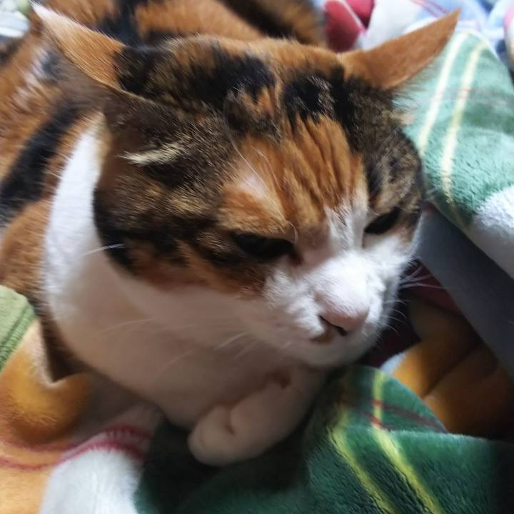 A491df66 1144 4801 ad1f e74f1280a242 1572904966782