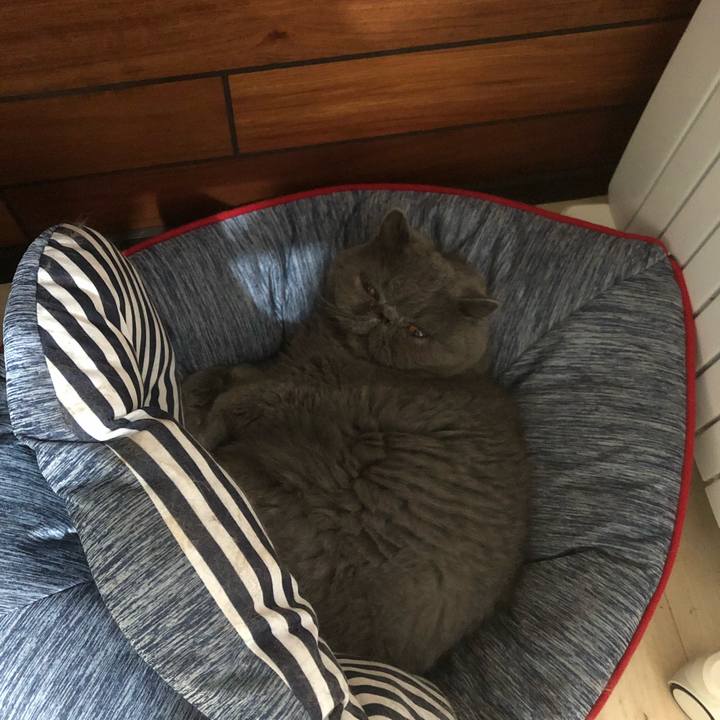 A491e668 a4a5 47f3 850b 3599b1216095 1530963446918