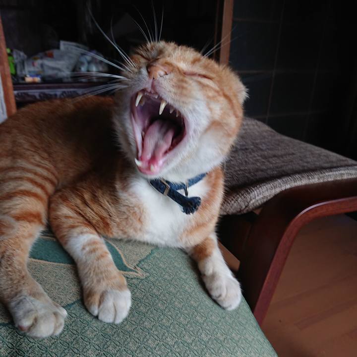 A4921293 838d 4915 bc5a dea01758c8d9 1565937723995