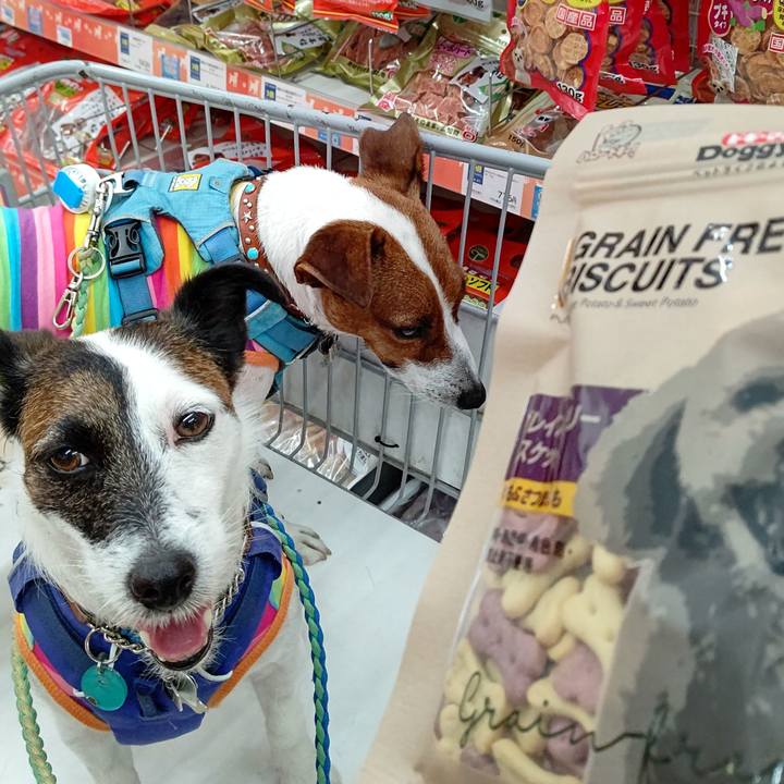 A49212b9 a2ea 45e9 974a 5985eefe5d27 1628417900296