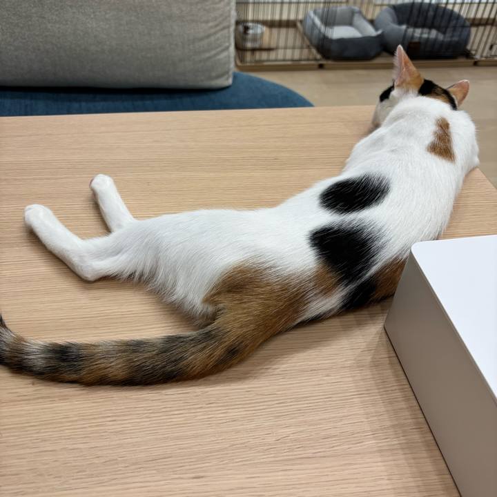 A492afd7 5dcd 40a9 8284 ba9f99a3b057 1759979858151