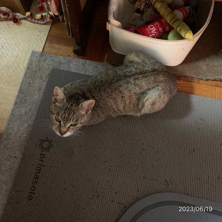 A492c83a c7e1 448f b871 c707fff3aee8 1687125669022