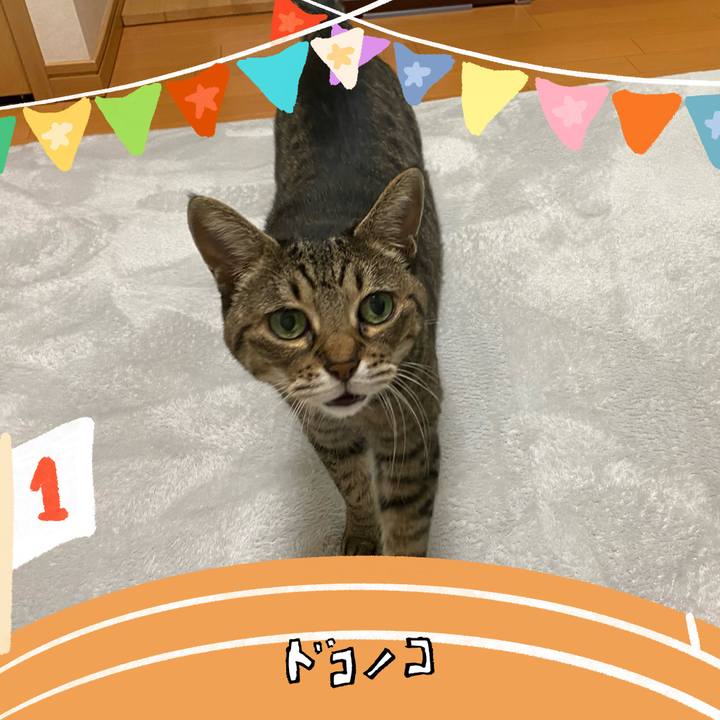 A49315cc 7bc2 4b8a b911 f92ed284ad65 1761532476196