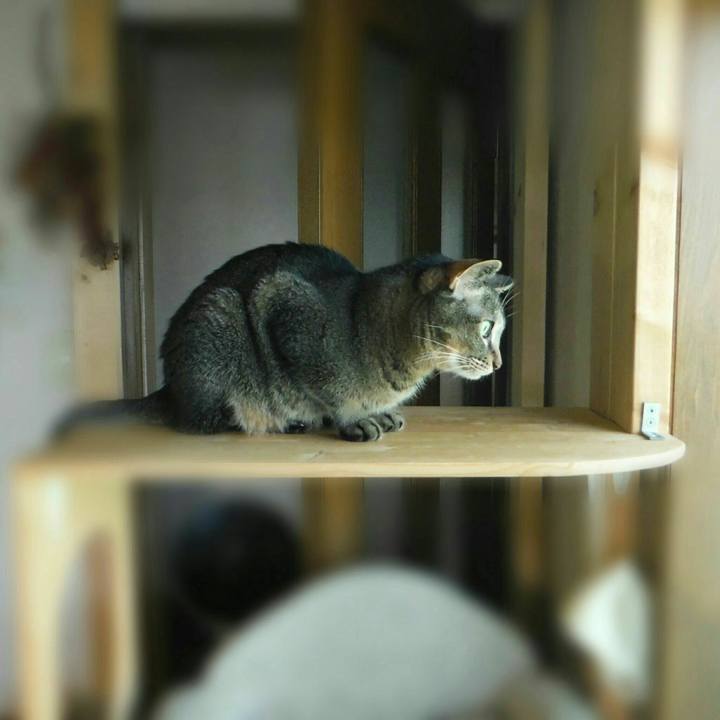 A4931cc7 f13d 43b2 a3c4 9aaf76c7996f 1564730436080