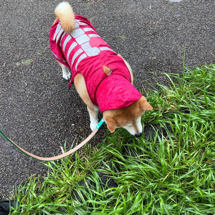 A49331a4 2595 44f6 8d58 d639462a3ffd 1681542300136