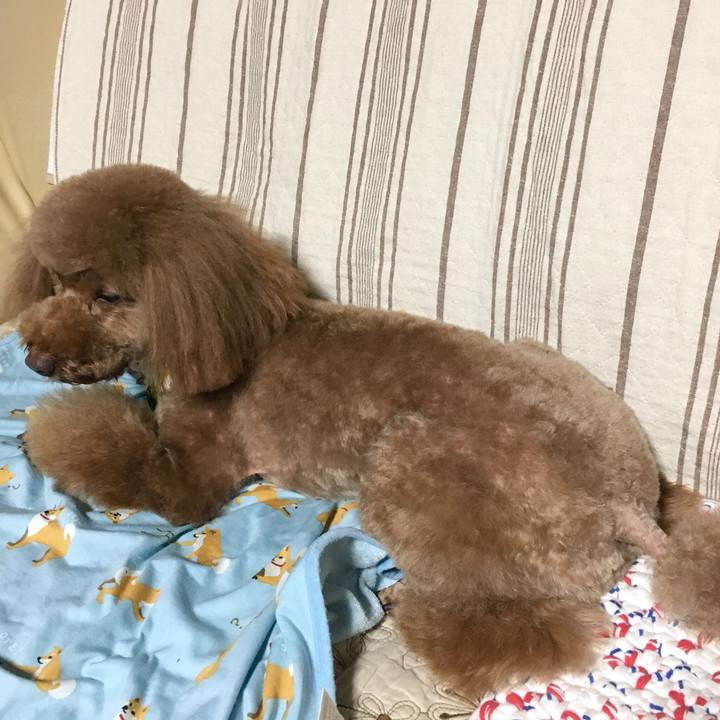 A4937369 65cc 434d ae20 7bb92d728d72 1527406741250