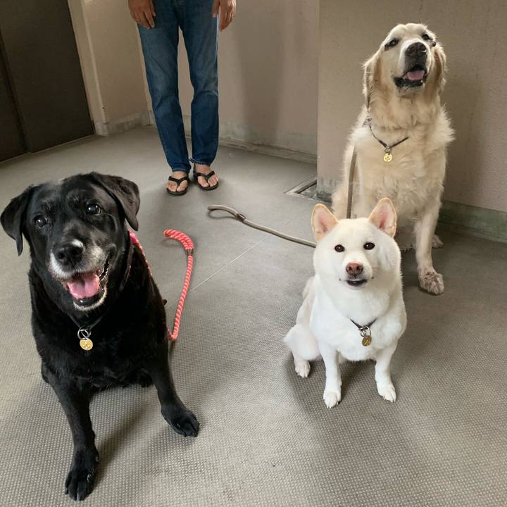 A49379de e687 4319 94cf 478da48f8446 1598910768897