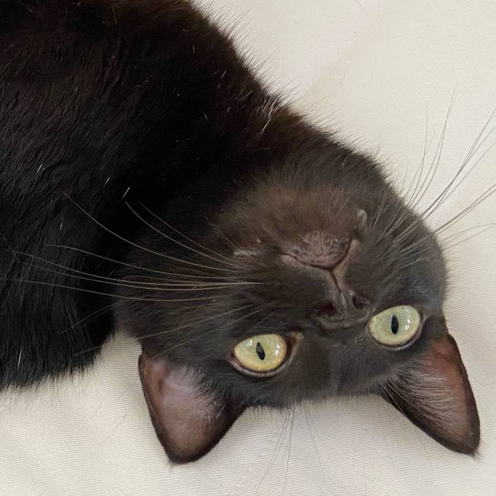 A4937efa ffd5 47cd 9120 7b9ad78a6305 1658573940322