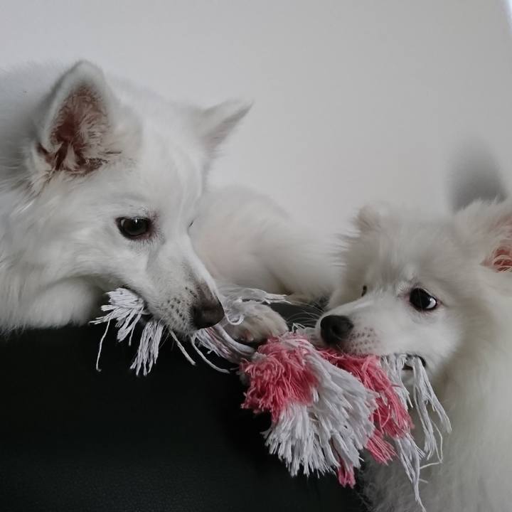 A493bd94 f056 411e b505 2ac794c47d90 1551069149824