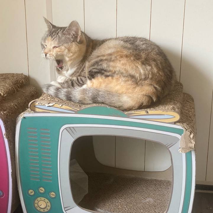 A493d796 d8fa 4a11 99b9 cfe1a92034b7 1657328204309