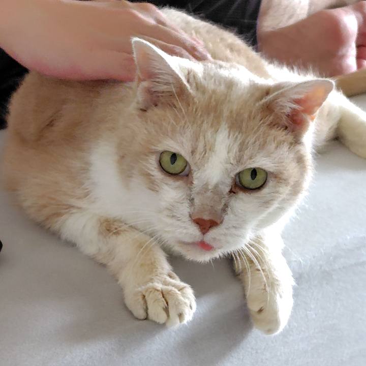 A493e3fd e210 48bd ba43 66022568afb2 1723251590470