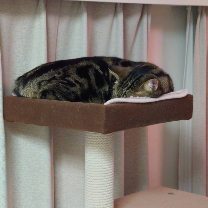 A493f657 9eb9 459e 8275 0fcc2f98e013 1643288241237