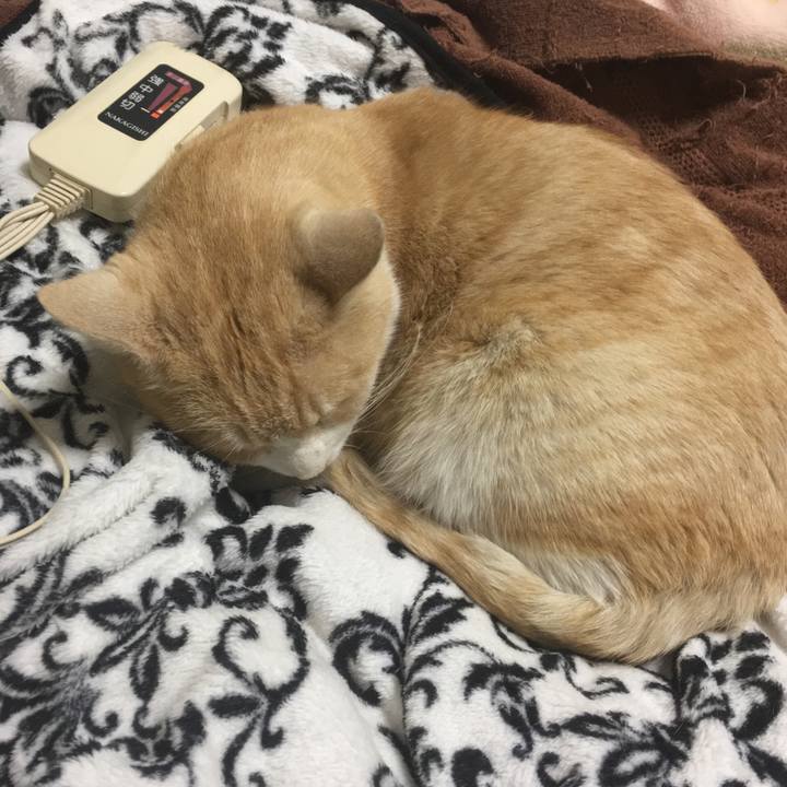 A4940258 a614 4903 a8b8 975c5e57f626 1547384169450