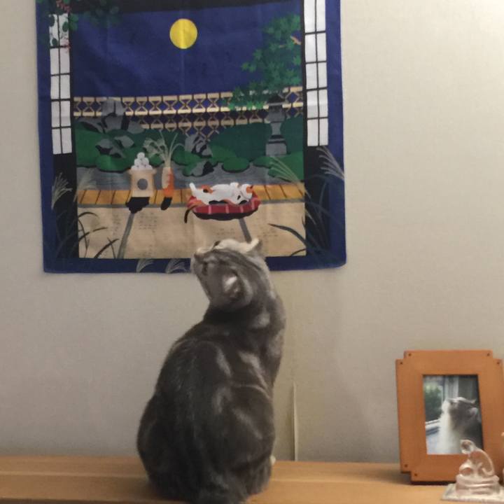 A4940502 91ff 4a4c 89d8 2861aa85fca7 1601017549290