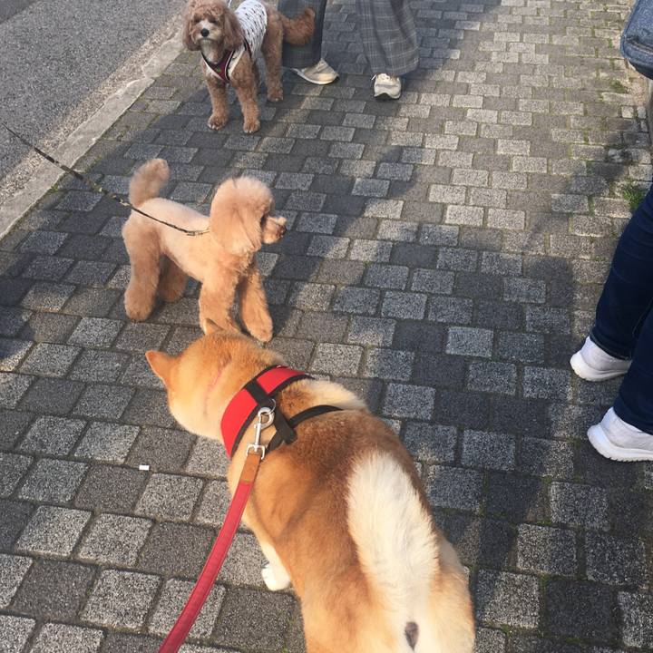 A4942f3c 53e5 42de 94c7 0d032313b6cb 1616149154827