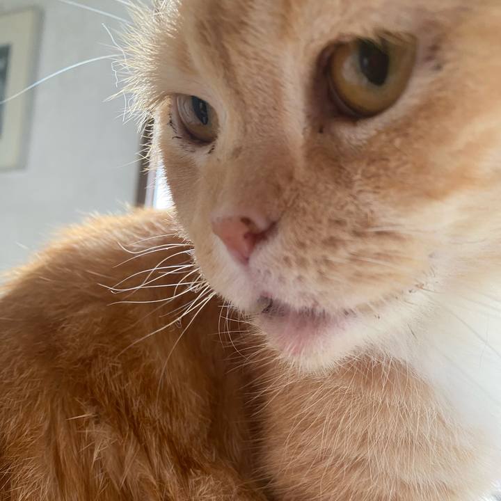 A4945278 24ea 423b b0bc f1424801b58a 1600739631888