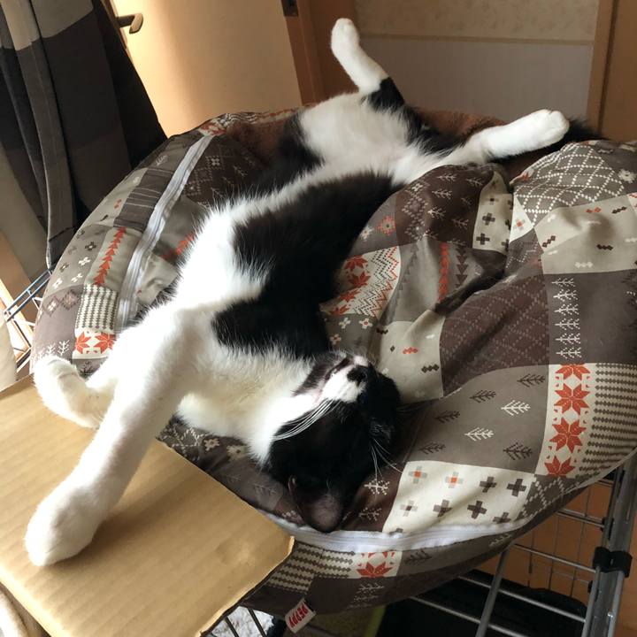 A4947c76 58f3 4c25 81ab 8c3eb3cdf650 1531945293460