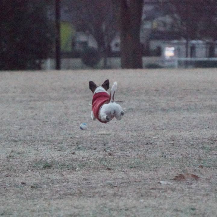 A494a14c 572c 4d7d be47 163832d48dd8 1547506732857