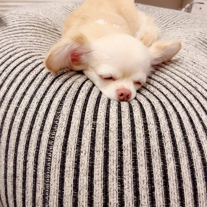 A494e830 37f1 41dd 812c 17ec4362c16c 1691242494762