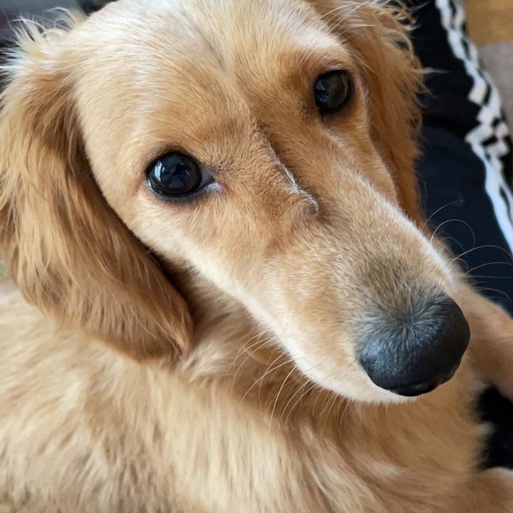 A494ffa2 56b9 4dd8 8f30 e9e5ad0c24b0 1686745549792