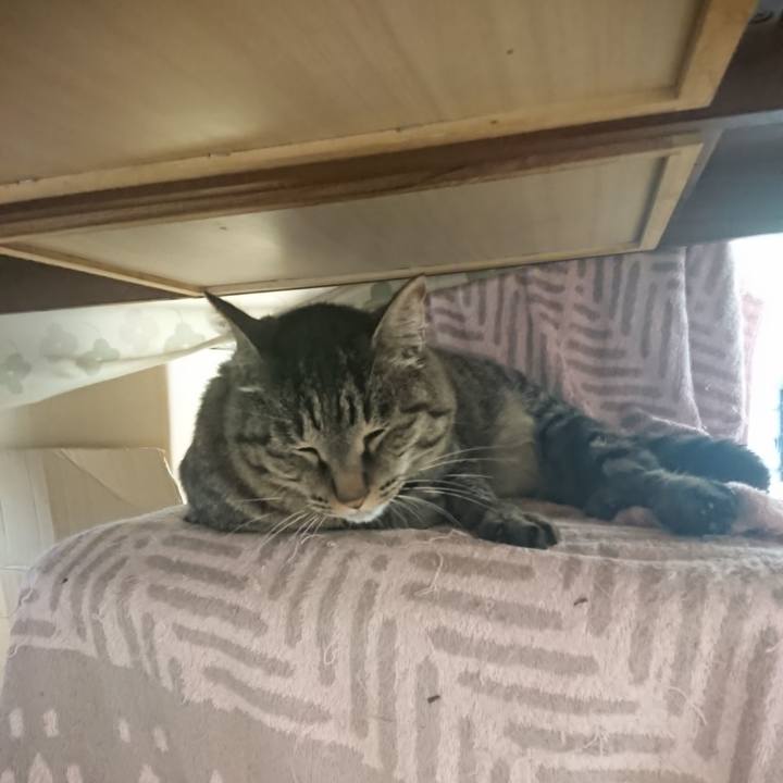 A49527ea 756b 4b54 9b08 ca1af32709e3 1652749433310