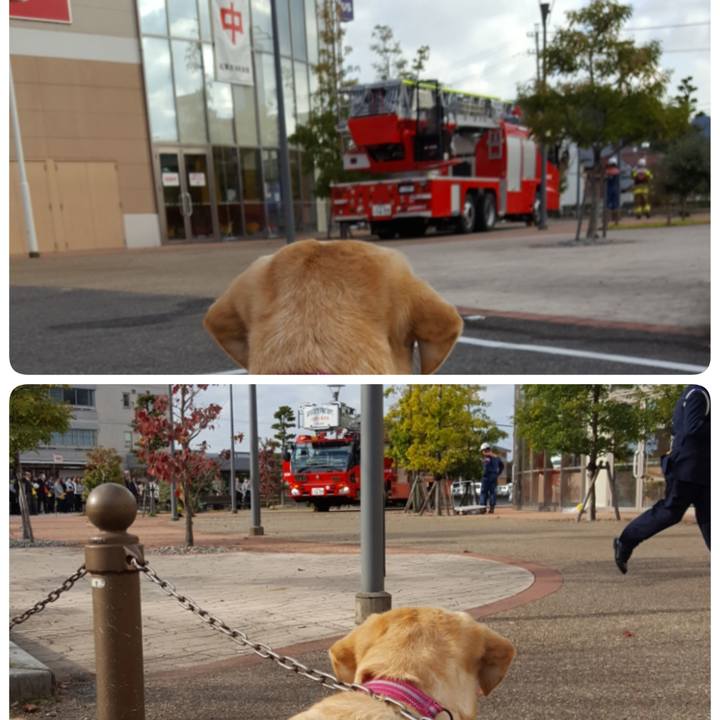 A495530f ca3c 4e44 89ae 52229459aaf7 1510291745293