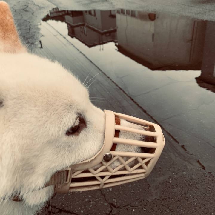 A4956bd8 25a9 4490 93c5 5d451e7d3603 1564175473129