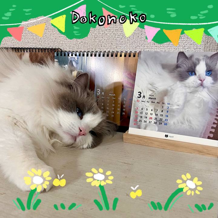 A495c6c1 7f44 4f74 891e e2d46bfbe775 1711571072297