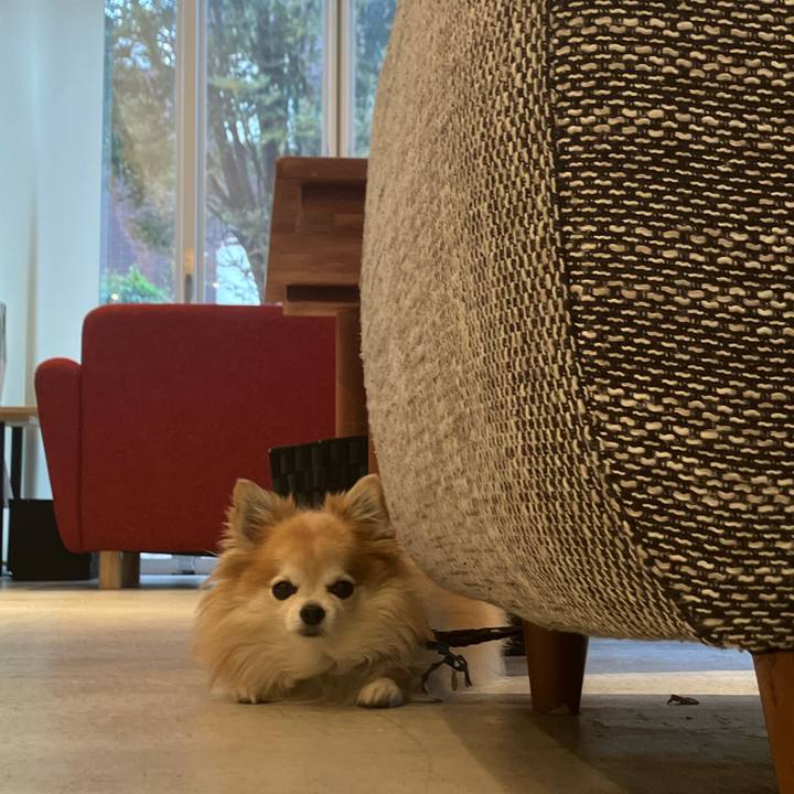 A495e630 f2d0 4359 9946 a76038624525 1761183760663